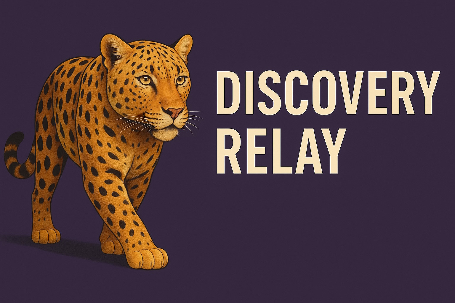 Discovery Relay Illustration